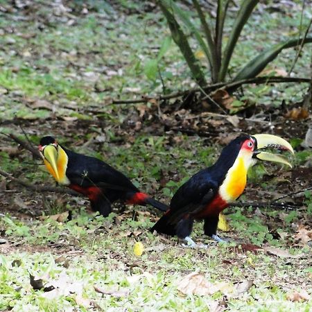 Yasi Yatere Reserva Agroecologica El Soberbio Exteriör bild