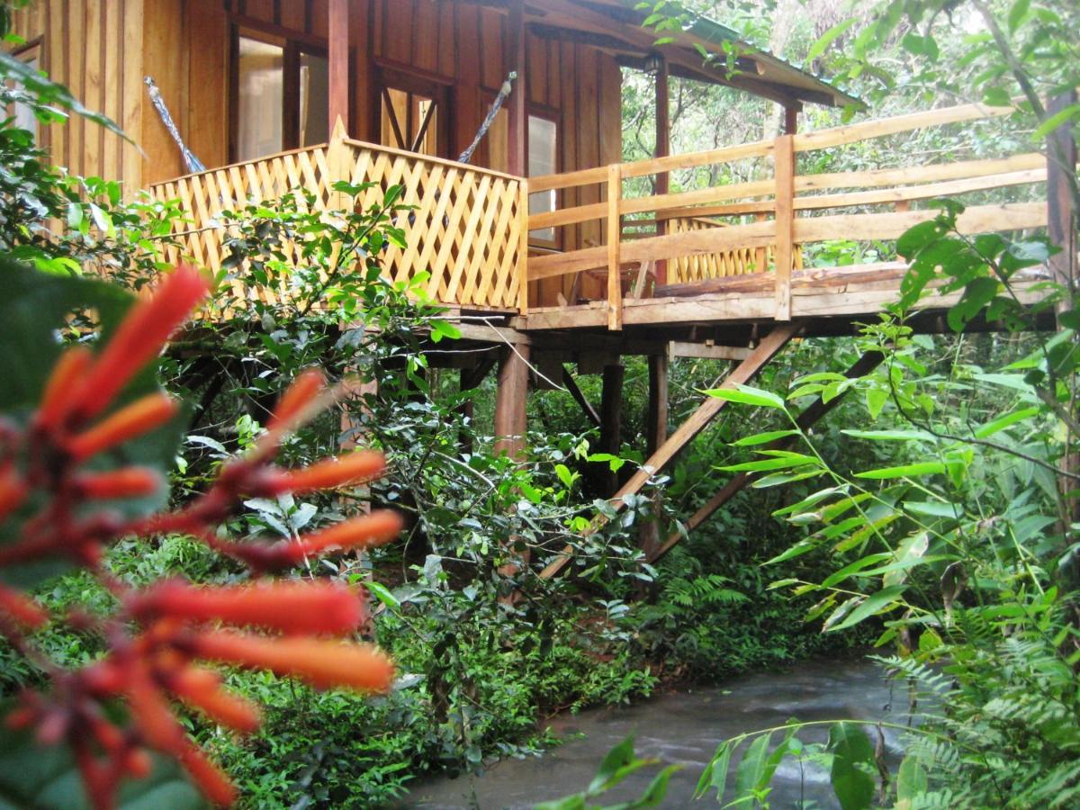 Yasi Yatere Reserva Agroecologica El Soberbio Exteriör bild