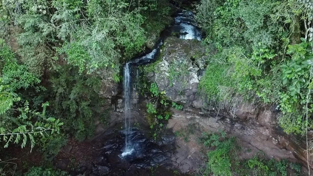Yasi Yatere Reserva Agroecologica El Soberbio Exteriör bild