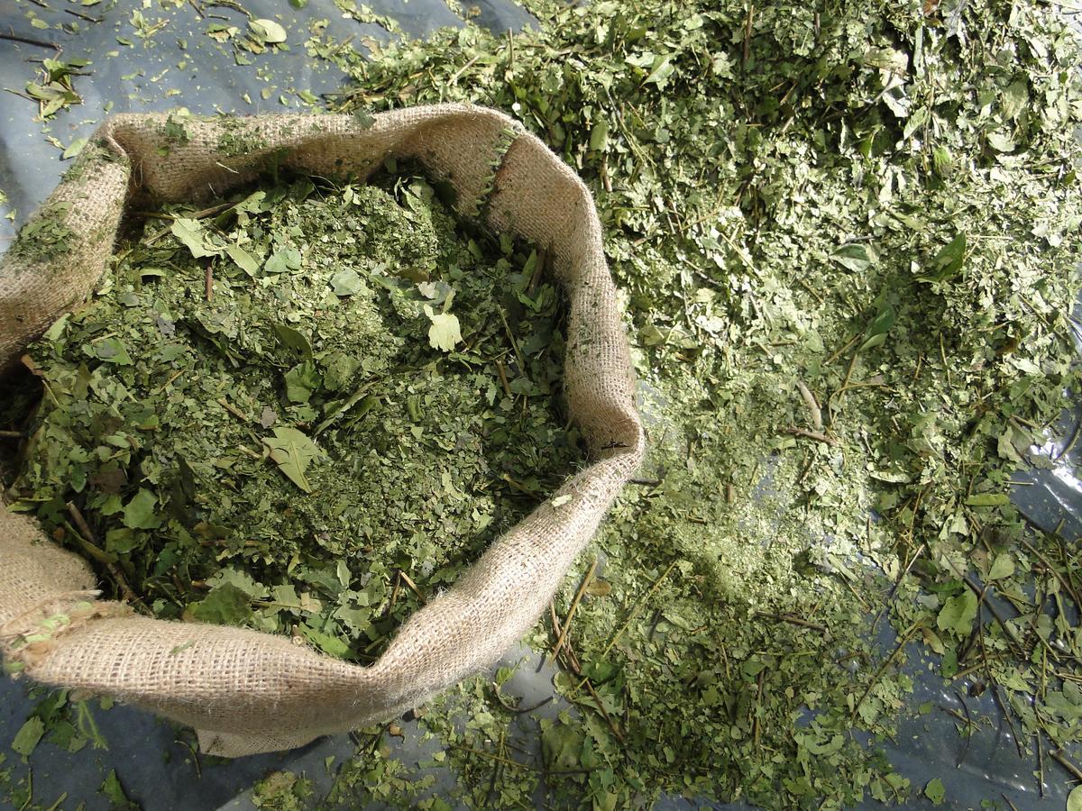 Yasi Yatere Reserva Agroecologica El Soberbio Exteriör bild