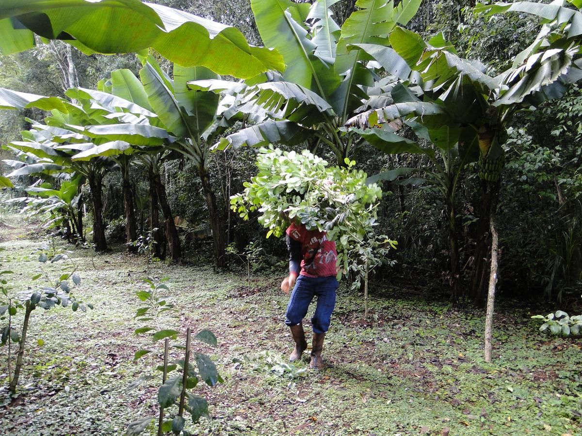 Yasi Yatere Reserva Agroecologica El Soberbio Exteriör bild