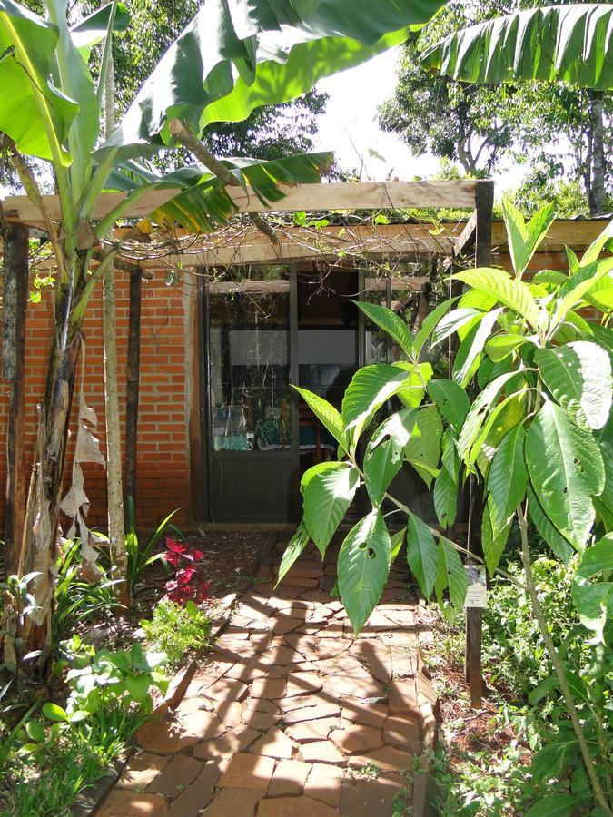 Yasi Yatere Reserva Agroecologica El Soberbio Exteriör bild